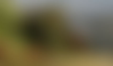 The Darkness of Human Nature, Back to the Farm and Fun on the Road