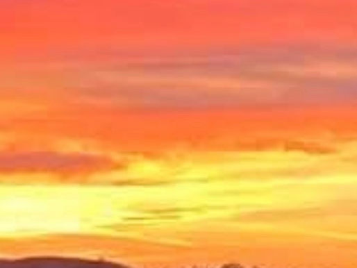 A Gem and Some Trivia, Seed Maize, Wheat and Soya.