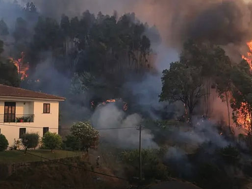 Aw Shit!!! 2000 - The Year Zimbabwe Gave Up the Rule of Law and Its Reputation as “The Bread Basket Of Africa.”
