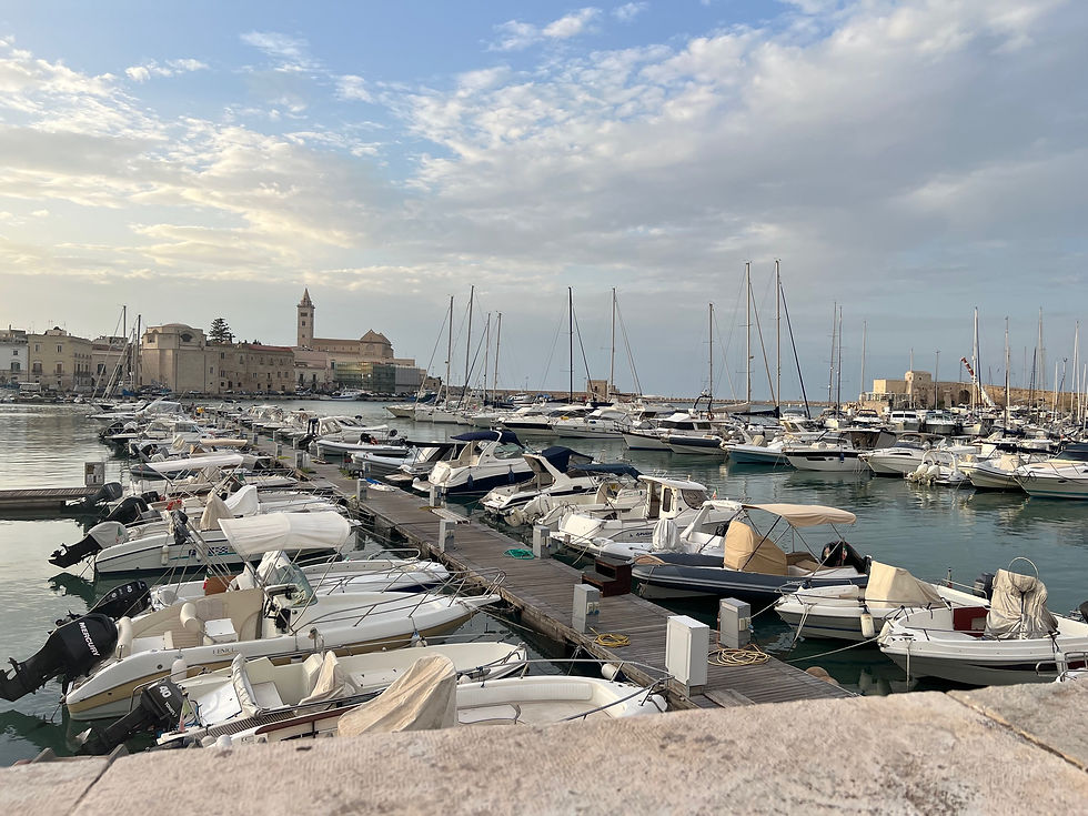 The marina in Trani