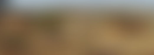 Wake Up Call, Rat Packs and Further First Impressions