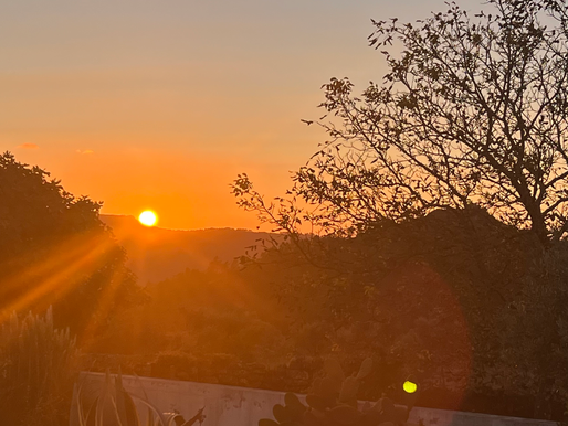 A Timely Discussion. Inflation Starts to Impact on Agriculture in Zimbabwe.