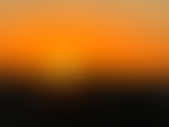 Scans, Stoicism, ESG and ART Farm