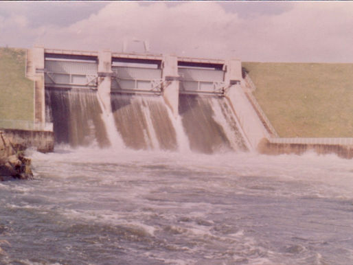 Year-End Thoughts and Mede Farm