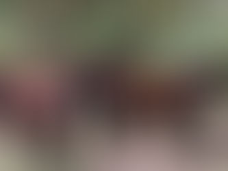 Blog Reflections, Farming, The First Territorial Army Call-Up and Mozambique with Han