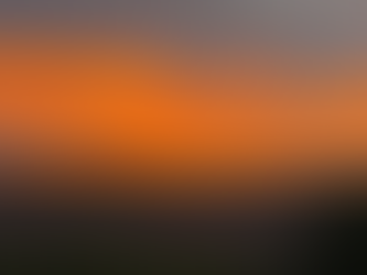 Oh Shit! Not Once, Many Times. Benefitting from Stolen Goods. Rae and Whaley