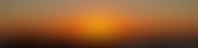 New Age Confusion, Paddy’s Farm and the Jatropha