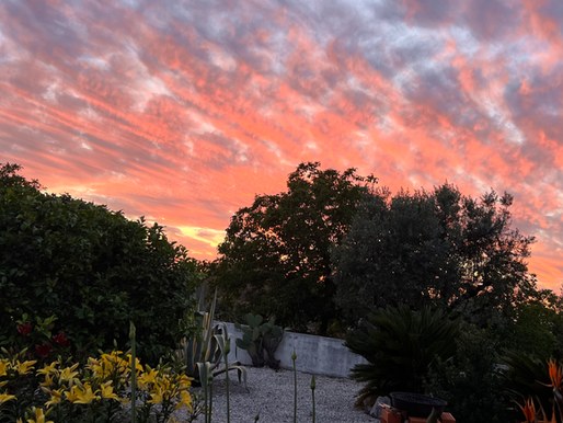 A Family Gathering, Frustration and Fortune: Dam Progress, Universal Leaf Africa (ULA) and A Barn Fire.