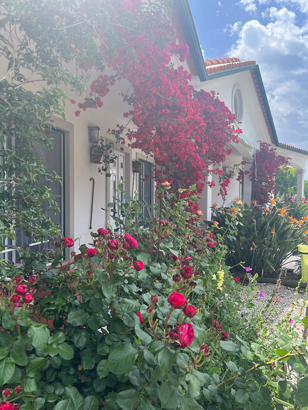 Despite living in four countries, the place I call home is very important to me. The front of our house this week