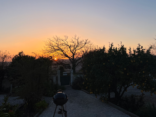 Medical Update. Early Land Challenges. ZIMACE is Born.