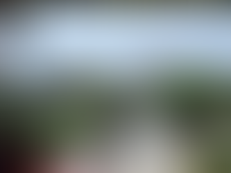 Why Does the Liberal World So Often Take the Side of Evil? My Early Days at CFU.