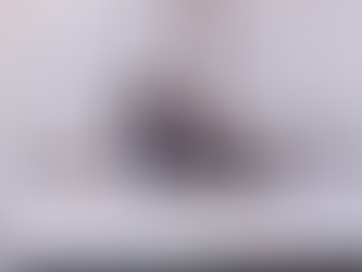 Contradictions, Rule of Law, Timelines and Source of Funds. Trust.