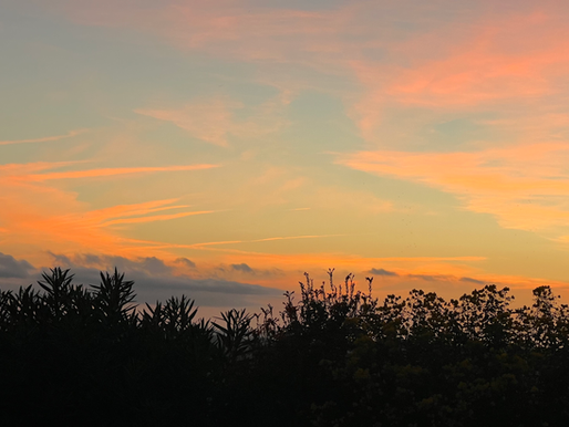 Not So Good Medical News. Commercial Farmers Union Election Debacle.