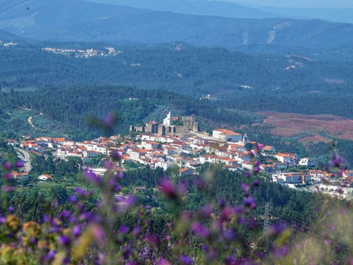 Frustration in Trying to Achieve A Common Goal and An Enjoyable but Wasted Trip to The World Economic Forum in Cape Town in 1994.