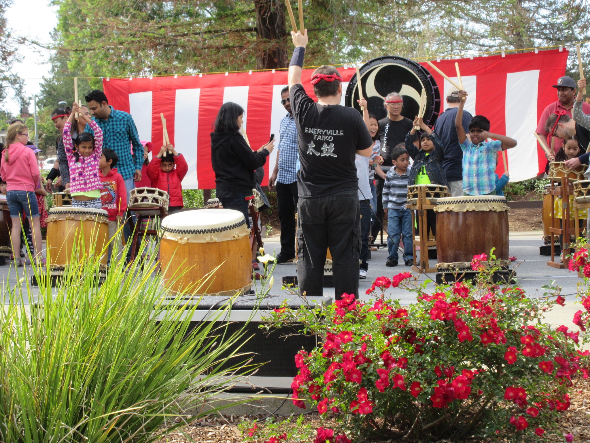 Cupertino Cherry Blossom Festival