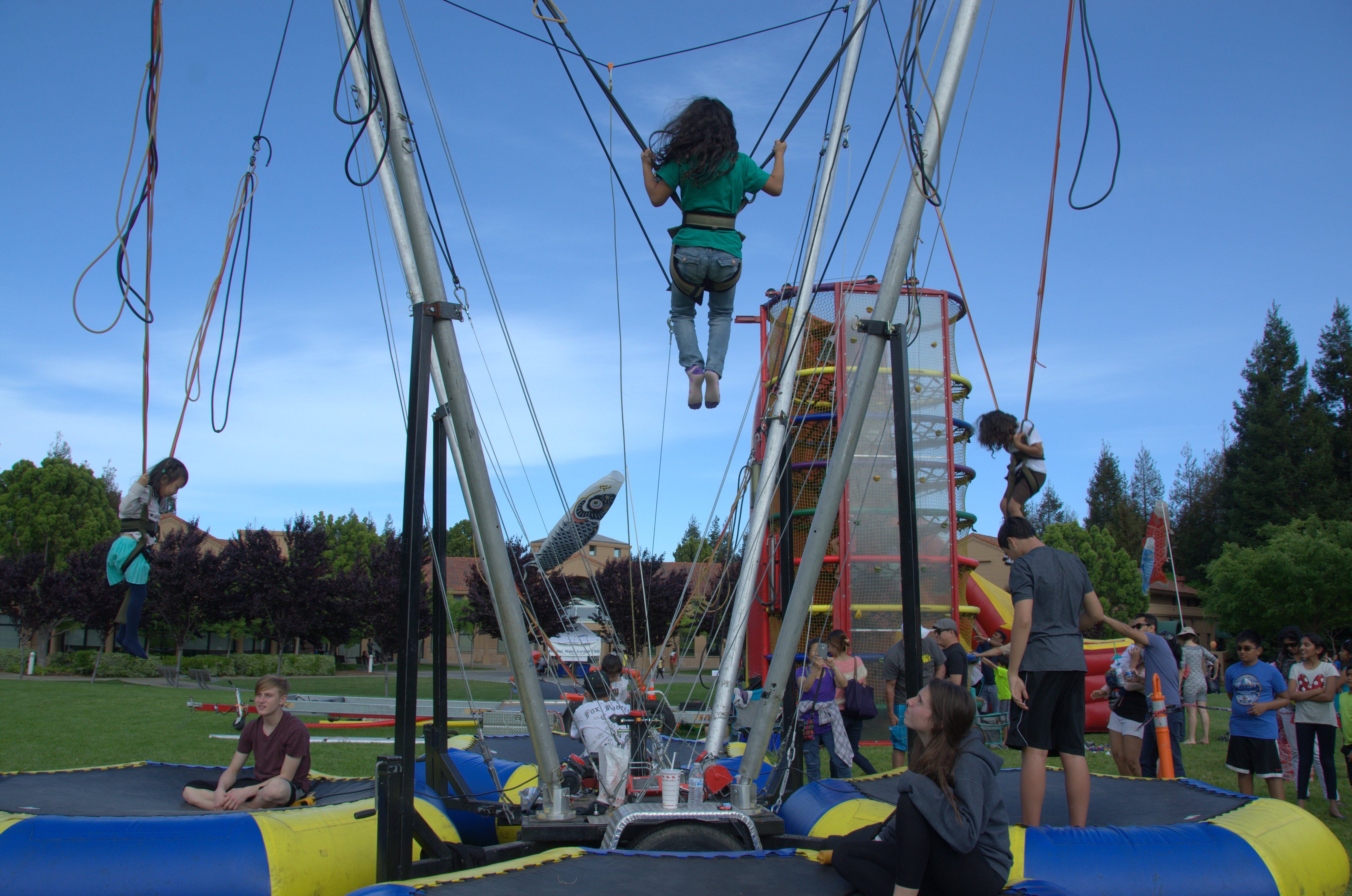 Cupertino Cherry Blossom Festival