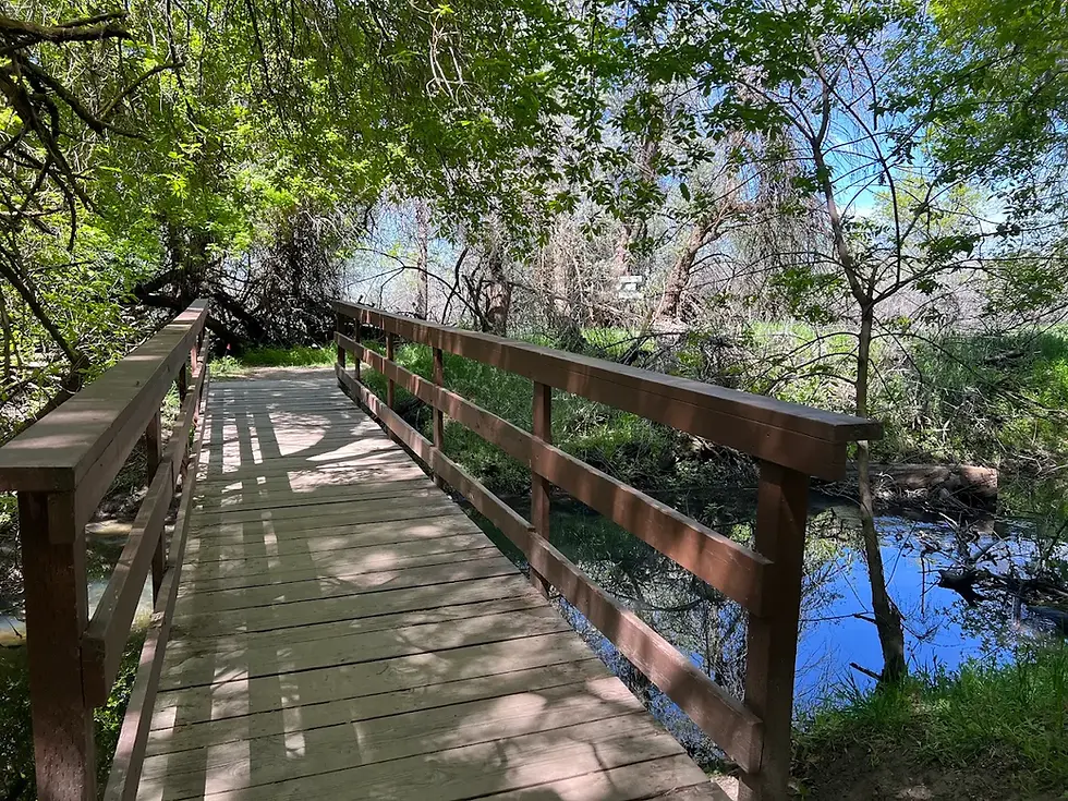Ogden Nature Center bridge over water
