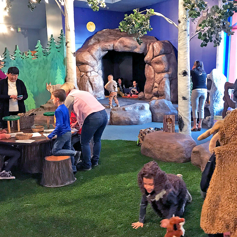 Treehouse Museum Indoor play area

