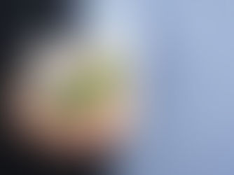 Perspectivas para Investimentos em Precatórios em 2024: Navegando pelas Mudanças no Mercado Financeiro