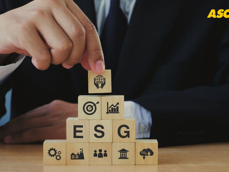 Desafios e Oportunidades para MPMEs na Jornada ESG: Como Empresas Menores Podem se Destacar com a Asonet Ocupacional