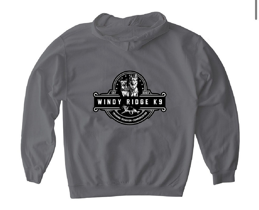 Thumbnail: Softstyle Pullover Hoodie