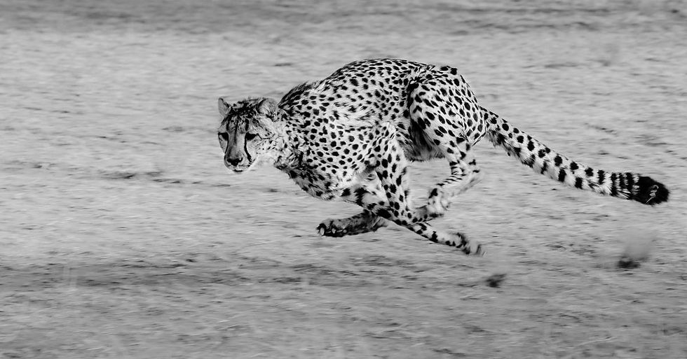 Illustration of moving fast to illustrate How to Adapt Agile Methodology to Creative Workflows