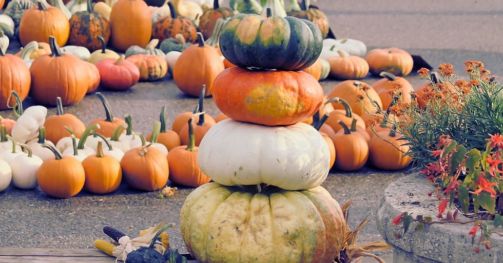 A stack of four pumpkins of different colours and sizes, surrounded by a large display of pumpkins and autumn flowers. 