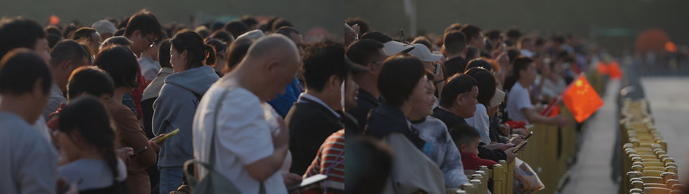 Steel Garden, 2025, Two-channel Video Installation, UHD, Color, Sound, Stereo, 45'10". Courtesy of t