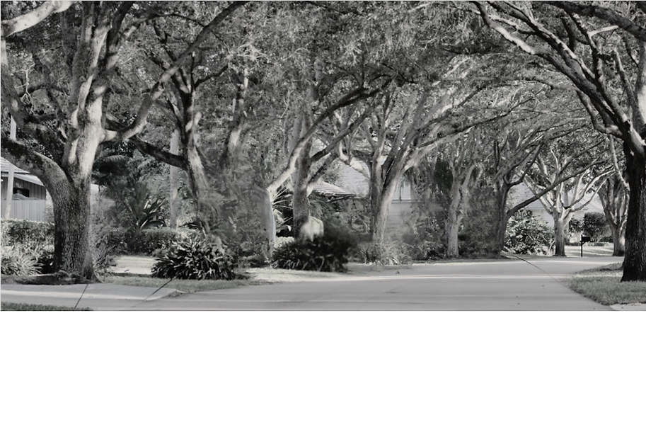 Untitled design (1) copy.png