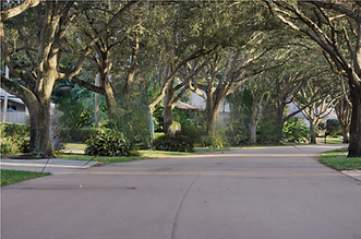 Untitled design (1).png