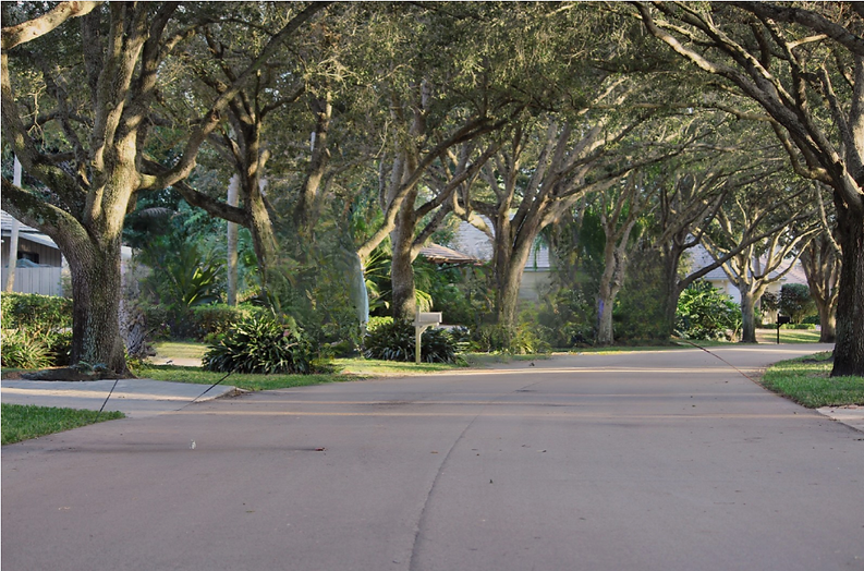 Untitled design (1).png