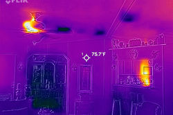 FLIR_20240921_093941_927_edited