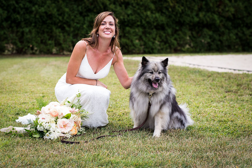 New Bedford Wedding Photography