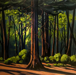 Bose Forest