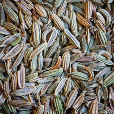 Fenouil Bio Semence 50g