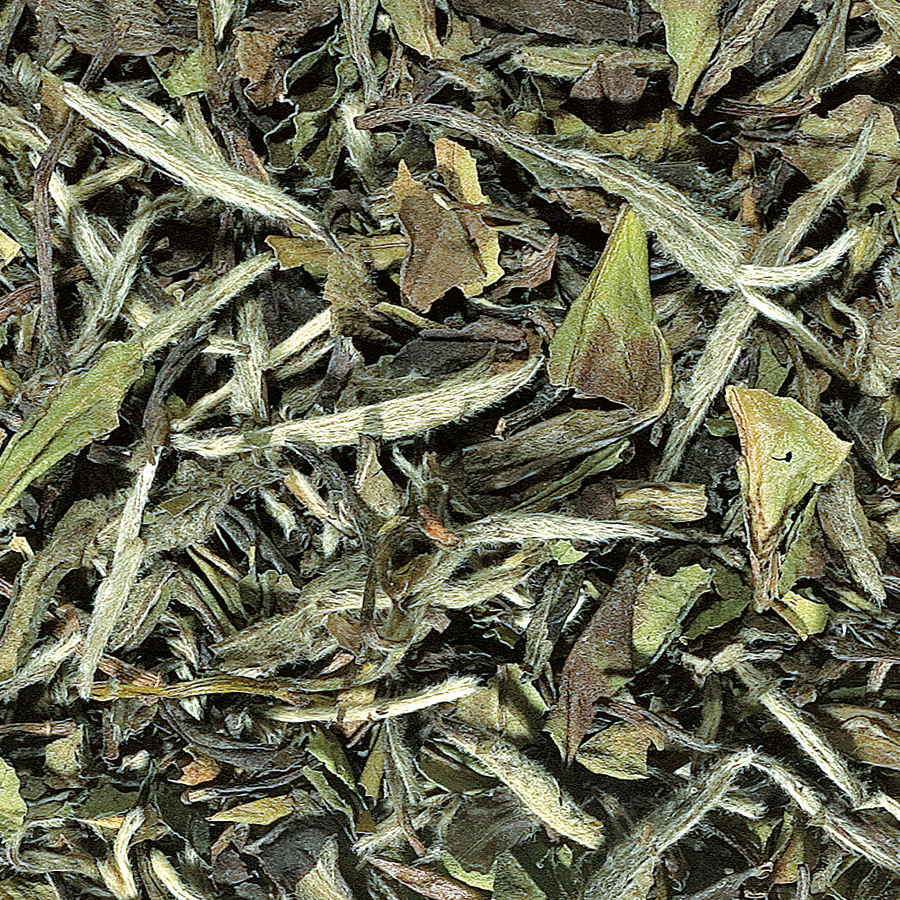 Pai Mu Tan Bio - Thé blanc de Chine