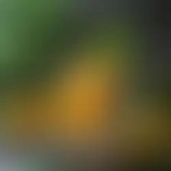 Recette infusion glacée Mangue Douce