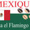 Miniature : Café du Mexique "Finca El Flamingo" Bio