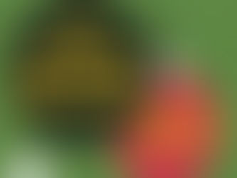 DOE ESPERANÇA NESTE NATAL