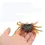 Miniature : Leurre Crabe 3D Double Hameçons en Silicone