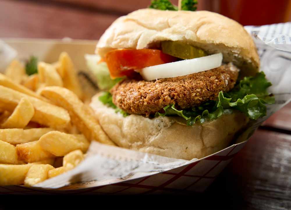 Vegetable Burger