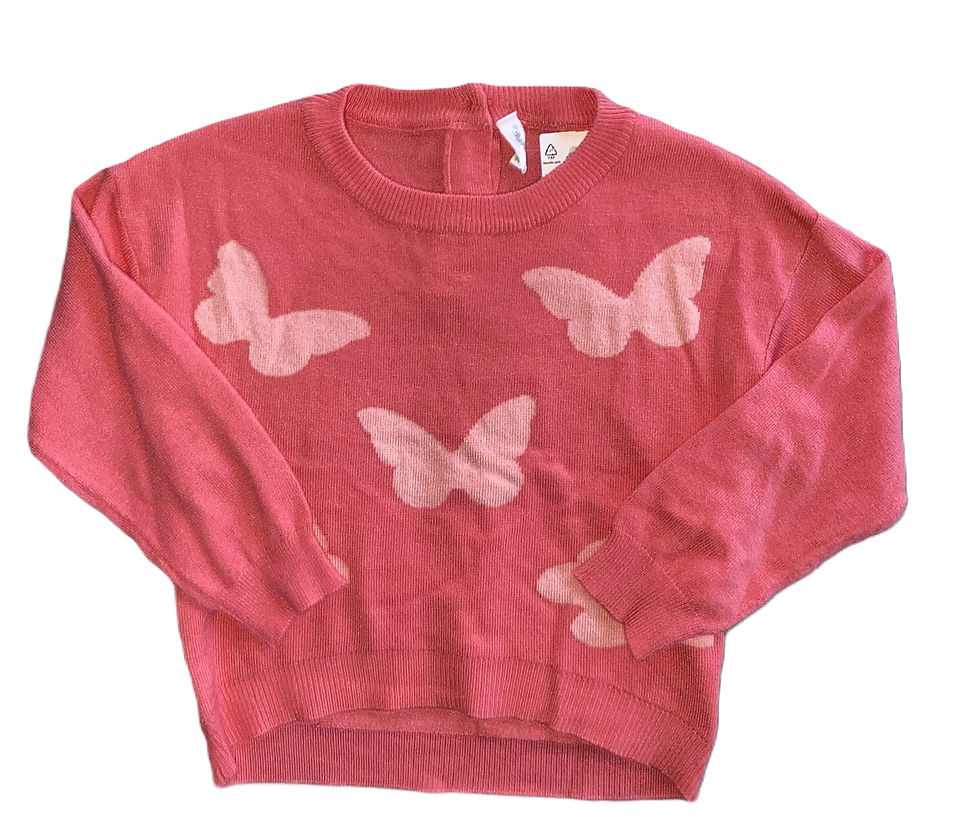 Idexe butterfly sweater