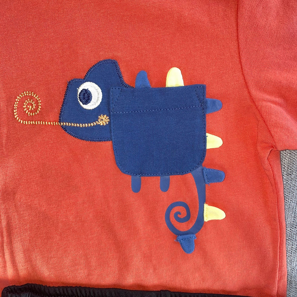 boys’ Fagottino chameleon t-shirt and shorts set