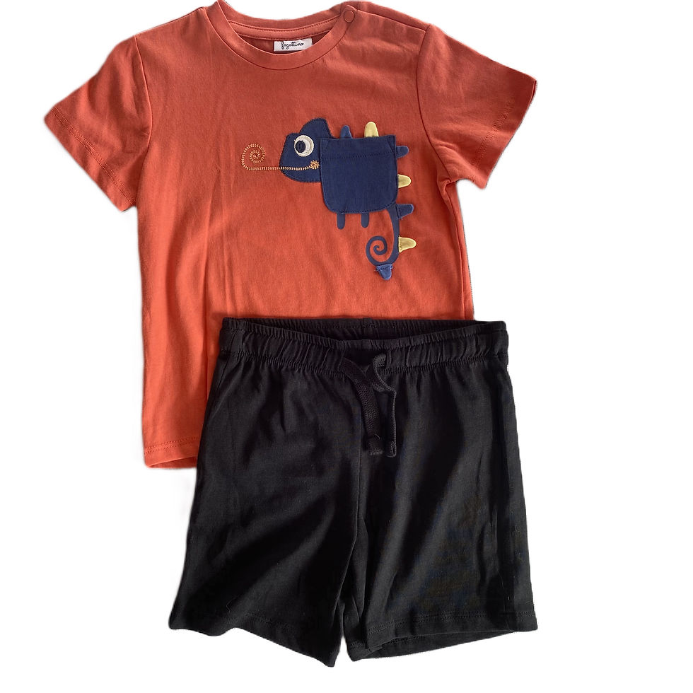 boys’ Fagottino chameleon t-shirt and shorts set