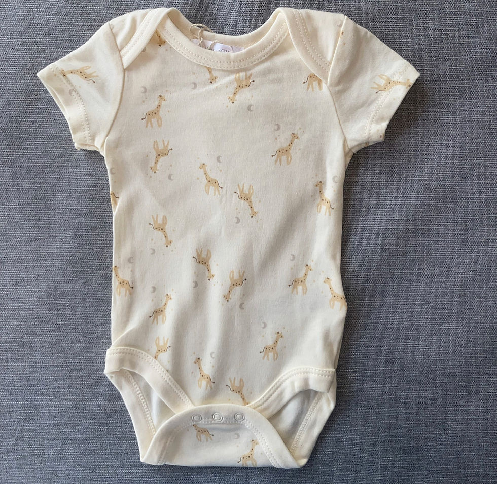 Emily and Oliver Short Sleeve Giraffe Romper