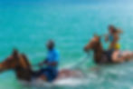 Chukka Ocean Outpost Horseback Ride 'N' Swim (18).jpg