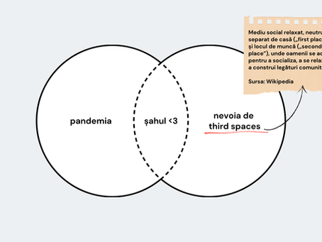 64 de patrate si o misiune: Scoala de Sah