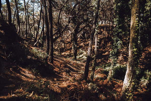 walk_0188.jpg