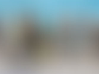 Myth: "half turn back"