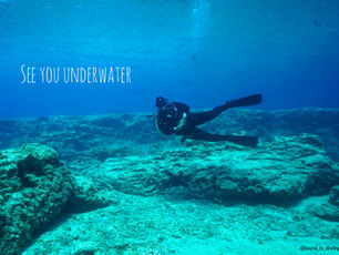 PADI Divemaster Praktikum- von der Theorie zur Praxis